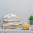 Estia Κουτι Αποθηκευσης & Οργανωσης Botanica 28x20x10cm με Εσωτερικη Επενδυση & Καπακι