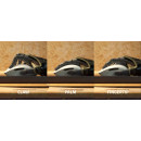 Razer OROCHI V2 White Ultra Lightweight - Dual Wireless - 5G 18K DPI - 950hrs Battery