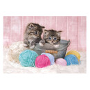 Clementoni Παιδικό Παζλ Super Color Sweet Kittens 104 τμχ