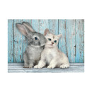 Clementoni Παζλ High Quality Collection Cat And Bunny 500 τμχ - Compact Box