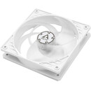 Arctic P14 PWM (White/Transparent) - 140mm Pressure optimized case fan
