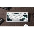 Keychron Q1 HE (Q1H-P1) QMK White Wireless Custom Hall Effect Keyboard Purple Switch US Layout