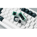 Keychron Q1 HE (Q1H-P1) QMK White Wireless Custom Hall Effect Keyboard Purple Switch US Layout