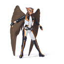 Spin Master Superman Movie: 12" Action Figures - Hawkgirl (20152165)