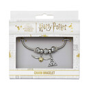 Carat Shop Harry Potter - Charm Bracelet Including Charms  Silver (Hp0090)