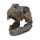 Nemesis Now: Tyrannosaurus - rex Skull Freestanding (16cm) (D1245d5)