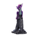 Nemesis Now: Amethyst Rune Protector (12cm) (U7069b25)