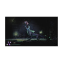 Nsw Mandragora: Whispers of the Witch Tree