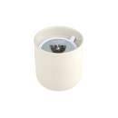 Estia Αρωματικο Κερι Whispers of Sage 289g