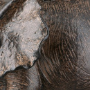 Figure Elephant Synthetic Resin Brown 2 Assorted 18X10X20Cm 18X10X20Cm