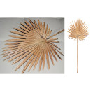 Κλαδί Φοίνικας ArteLibre Τεχνητό Εκρού 36x91cm