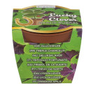 Τυχερό Τετράφυλλο Τριφύλλι Σε Πλαστική Γλάστρα