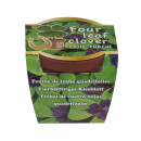 Τυχερό Τετράφυλλο Τριφύλλι Σε Πλαστική Γλάστρα