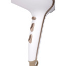 Στεγνωτήρας Μαλλιών 1600-2000W ALPINA