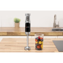 Ραβδομπλέντερ 700ml 1000W Ανοξείδωτο ALPINA