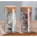 Διακοσμητικό ArteLibre Αποξηραμένο Λουλούδι Σε Δοχείο Με Glitter Διάφανο Γυαλί 10cm Σε 2 Σχέδια