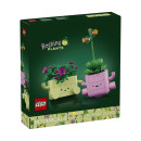 Lego Botanicals: Rocking Plants (11506)