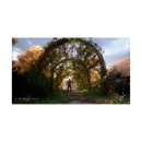 Ps4 a Plague Tale: Innocence