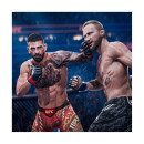 Ps5 ea Sports ufc 6