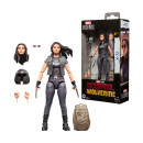 Hasbro Fans Avengers: Legends Deadpool x-23 Figure (G2368)