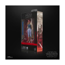 Hasbro Fans - Star Wars: bl Oasis (G2584)