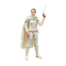 Hasbro Fans Star Wars: Vintage Everest (G2612)