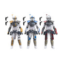 Hasbro Fans - Star Wars: the Black Series arc Trooper Battle Pack (G3334)