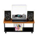 Mga's Miniverse: Real Music - Record Player - Plays Real Music (254249)