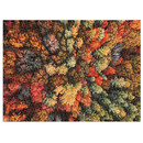 Παζλ Good Puzzle Company 1000 Κομματιών "Autumn Forest" GPC1620
