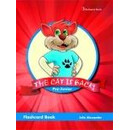 The cat is Back! pre-Junior Flashcard Book