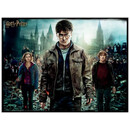 Παζλ 500 τεμάχια 3D - Harry Potter Harry, Hermione and Ron 32559