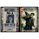 Παζλ 500 τεμάχια Scratch - Harry Potter Wanted 37506