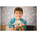 4M Toys - Ανασκαφή Βελοσιράπτορας 13234 4M0023