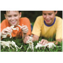 4M Toys - Ανασκαφή Βελοσιράπτορας 13234 4M0023