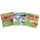 BrainBox - Θηρευτές 93053