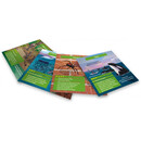 BrainBox - Θηρευτές 93053