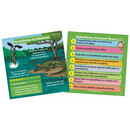 BrainBox - Θηρευτές 93053