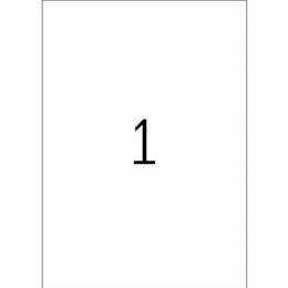 Herma Ετικέτες λευκές 210x297