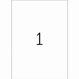 Herma Ετικέτες λευκές 210x297