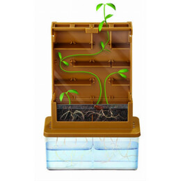 4M Toys - Κατασκευή Καλλιέργεια στον Λαβύρινθο - Οικολογική Επιστήμη 3352 4M0296