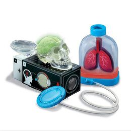 4M Toys - Εργαστήριο Βιολογίας