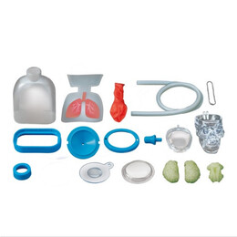 4M Toys - Εργαστήριο Βιολογίας