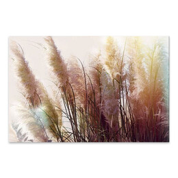 Πίνακας σε Καμβά "soft Pampas" Megapap Ψηφιακής Εκτύπωσης 125x80x3εκ.