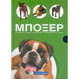 Μπόξερ - Javier Villahizan