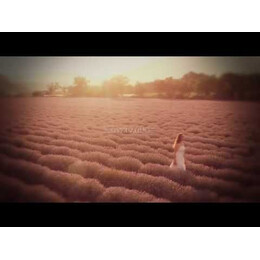 ΑΓΑΠΗ-ΔΗΛΗΤΗΡΙΟ