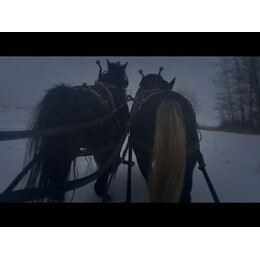 ΤΑ ΧΡΟΝΙΑ ΤΗΣ ΧΑΜΕΝΗΣ ΑΘΩΟΤΗΤΑΣ