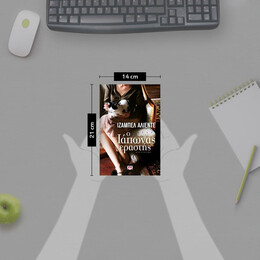 Ο ΙΑΠΩΝΑΣ ΕΡΑΣΤΗΣ