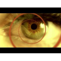 ΧΕΛΩΝΕΣ ΣΤΟ ΑΠΕΙΡΟ