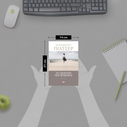 ΤΟ ΛΙΟΝΤΑΡΙ ΠΟΥ ΚΟΙΜΑΤΑΙ