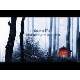 ΤΟ ΔΑΣΟΣ ΤΗΣ ΜΝΗΜΗΣ